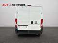 Fiat Ducato 33 2.3 MJT 140CV PM-TM Furgone Blanc - thumbnail 6