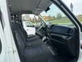 Iveco Daily IVECO CHASSIS CABINE 2.3 7 POSTI EURO 6 Blanco - thumbnail 9