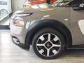 Citroen C4 C4 Cactus 2014 Cactus 1.6 e-hdi Shine 92cv etg6 Beige - thumbnail 16