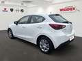 Mazda 2 1.5 MT*SERVOLENKUNG*ALLWETTER*RADIO*ABS* Weiß - thumbnail 4
