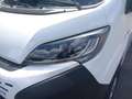 Fiat Ducato Blanc - thumbnail 8