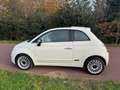 Fiat 500 0.9 TwinAir Lounge|Pano|Luxe|Leder| Blanc - thumbnail 5