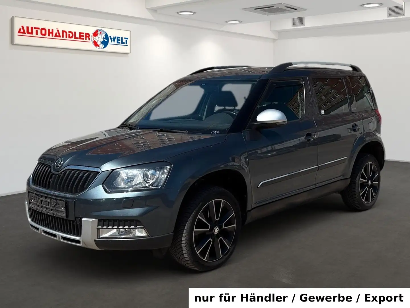 Skoda Yeti 4x4 Automatik AAC Xenon SHZ Navi PDC Šedá - 1