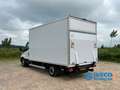 Iveco Daily 35S14 | Origineel Nederlands | Dhollandia | lat-om Weiß - thumbnail 10