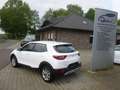 Kia Stonic Edition 7 Emotion Paket AHK Weiß - thumbnail 4