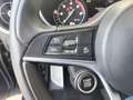 Alfa Romeo Stelvio Stelvio 2.2 Turbodiesel 190 CV AT8 RWD Executive Blu/Azzurro - thumbnail 13