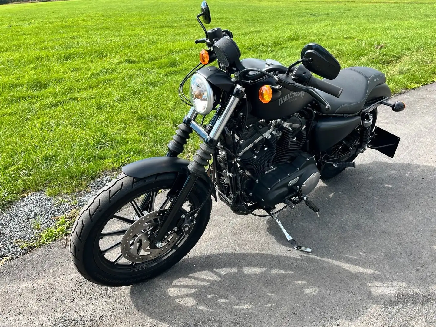Harley-Davidson Iron 883 Negro - 1