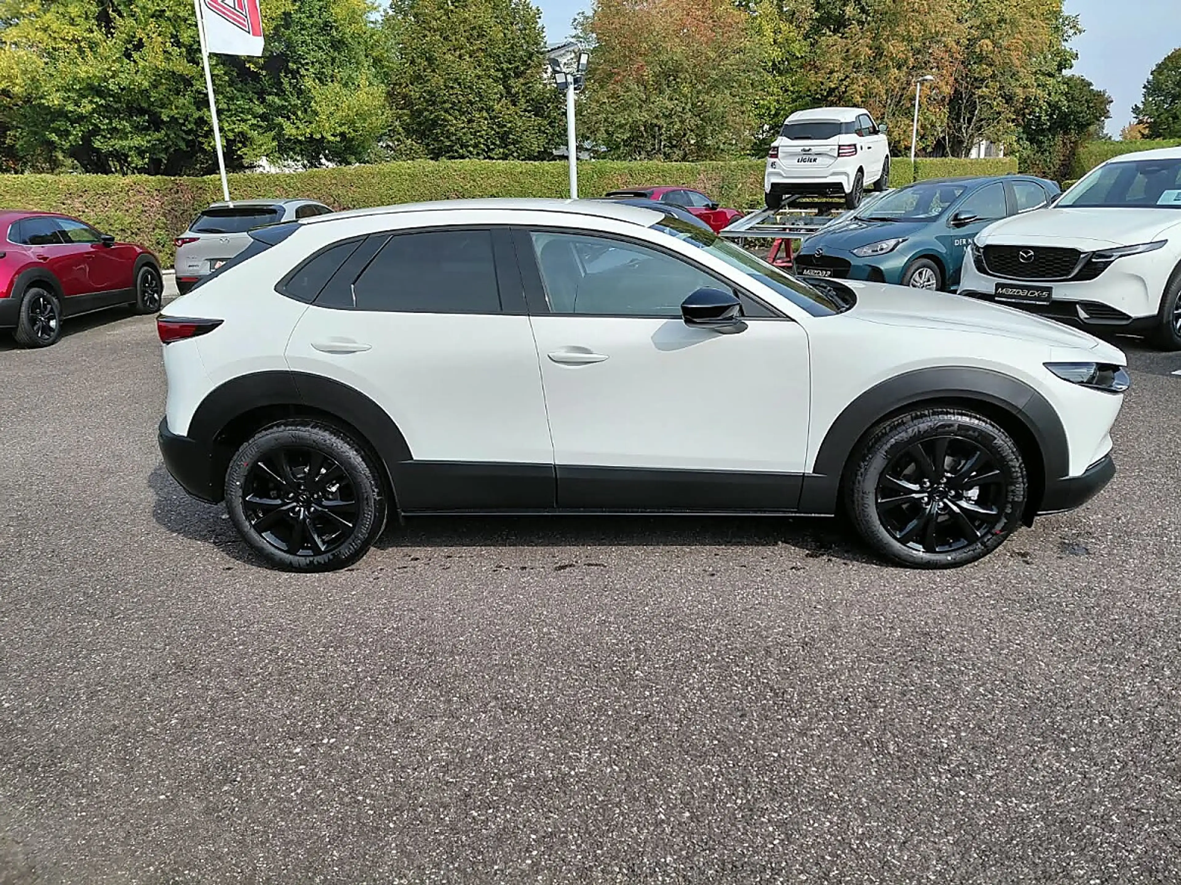 Mazda CX-30 e-Skyactive G140 Homura Aut. — photo 5