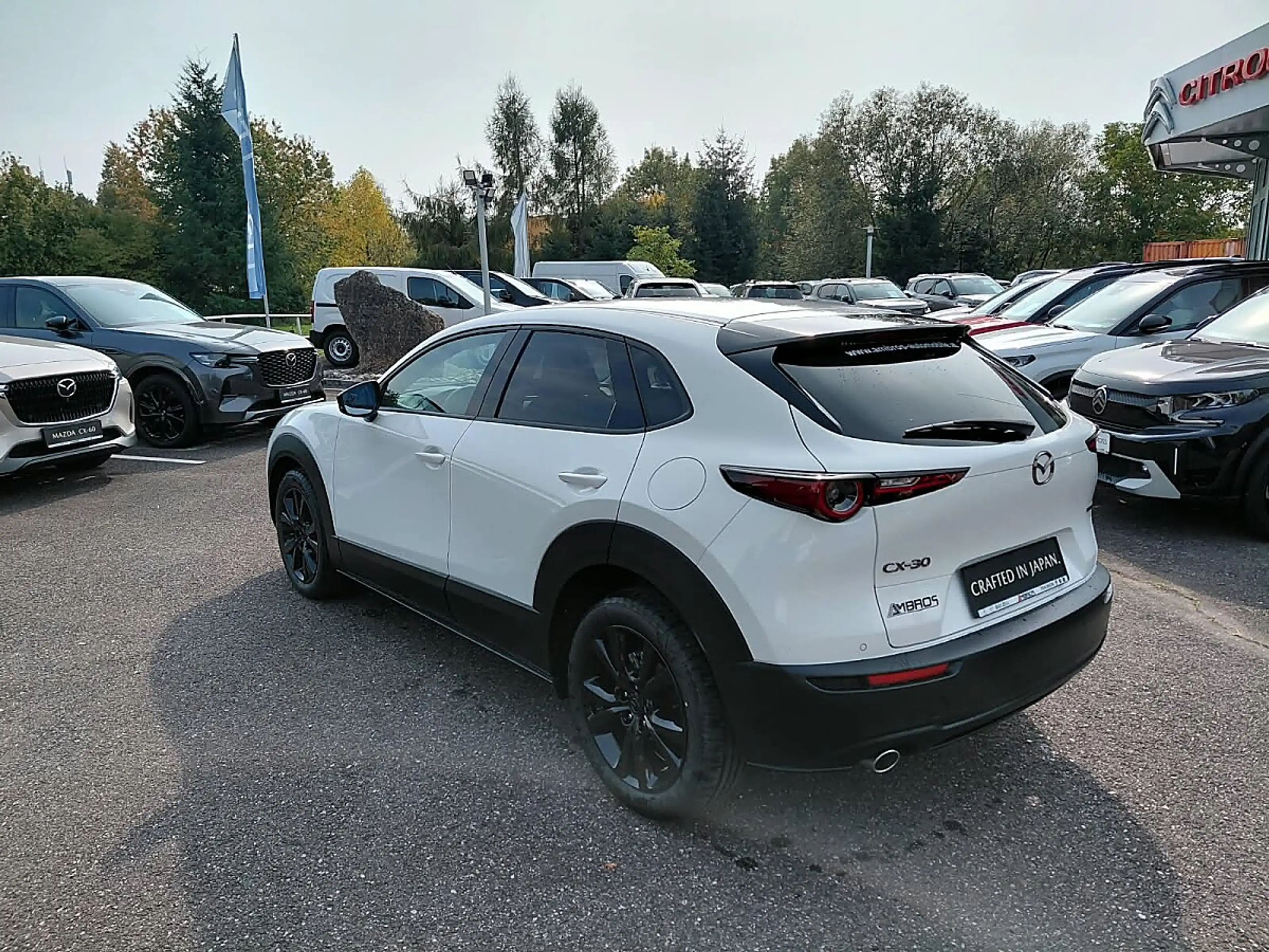 Mazda CX-30 e-Skyactive G140 Homura Aut. — photo 7