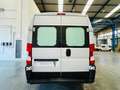 Fiat Ducato 33 Medio Techo Alto 2.0 Mjet 85kW (115CV Blanco - thumbnail 6