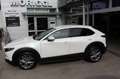 Mazda CX-30 G122 Comfort+/SO/ST Blanc - thumbnail 1
