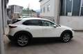 Mazda CX-30 G122 Comfort+/SO/ST Blanc - thumbnail 6