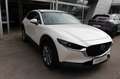 Mazda CX-30 G122 Comfort+/SO/ST Blanc - thumbnail 4