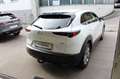 Mazda CX-30 G122 Comfort+/SO/ST Blanc - thumbnail 7