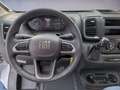 LMC Innovan 600 Modell 2025, Automatik , Fiat - thumbnail 7