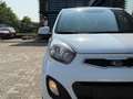 Kia Picanto 1.2 CVVT ISG Comfort Pack Wit - thumbnail 10