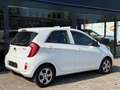 Kia Picanto 1.2 CVVT ISG Comfort Pack Wit - thumbnail 6