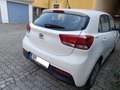 Kia Rio 1,25 MPI Titan ISG Limousine Weiß - thumbnail 5