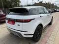Land Rover Range Rover Evoque Range Rover Evoque II 2.0D mhev awd 150cv auto Blanc - thumbnail 5