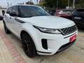Land Rover Range Rover Evoque Range Rover Evoque II 2.0D mhev awd 150cv auto Blanc - thumbnail 7