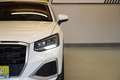 Audi Q2 35 2.0 TDI "R-KAM*LED*SITZH*DAB" Weiß - thumbnail 9