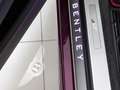Bentley Continental New Continental GT Convertible S V8 Paars - thumbnail 15
