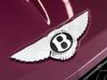 Bentley Continental New Continental GT Convertible S V8 Violett - thumbnail 19