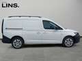 Volkswagen Caddy Cargo Maxi TDI 4MOTION Weiß - thumbnail 6