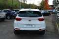 Kia Sportage 1.7 crdi Business Class 2wd 115cv - thumbnail 6