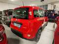 Fiat Panda 1.0 FireFly S&S Hybrid City Life Rosso - thumbnail 4