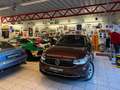 Volkswagen Tiguan 2.0 TDI Life  Led Kamera Anhängerkupplung Braun - thumbnail 3