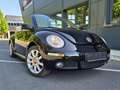 Volkswagen Beetle Beetle Cabriolet 1,4 Schwarz - thumbnail 2