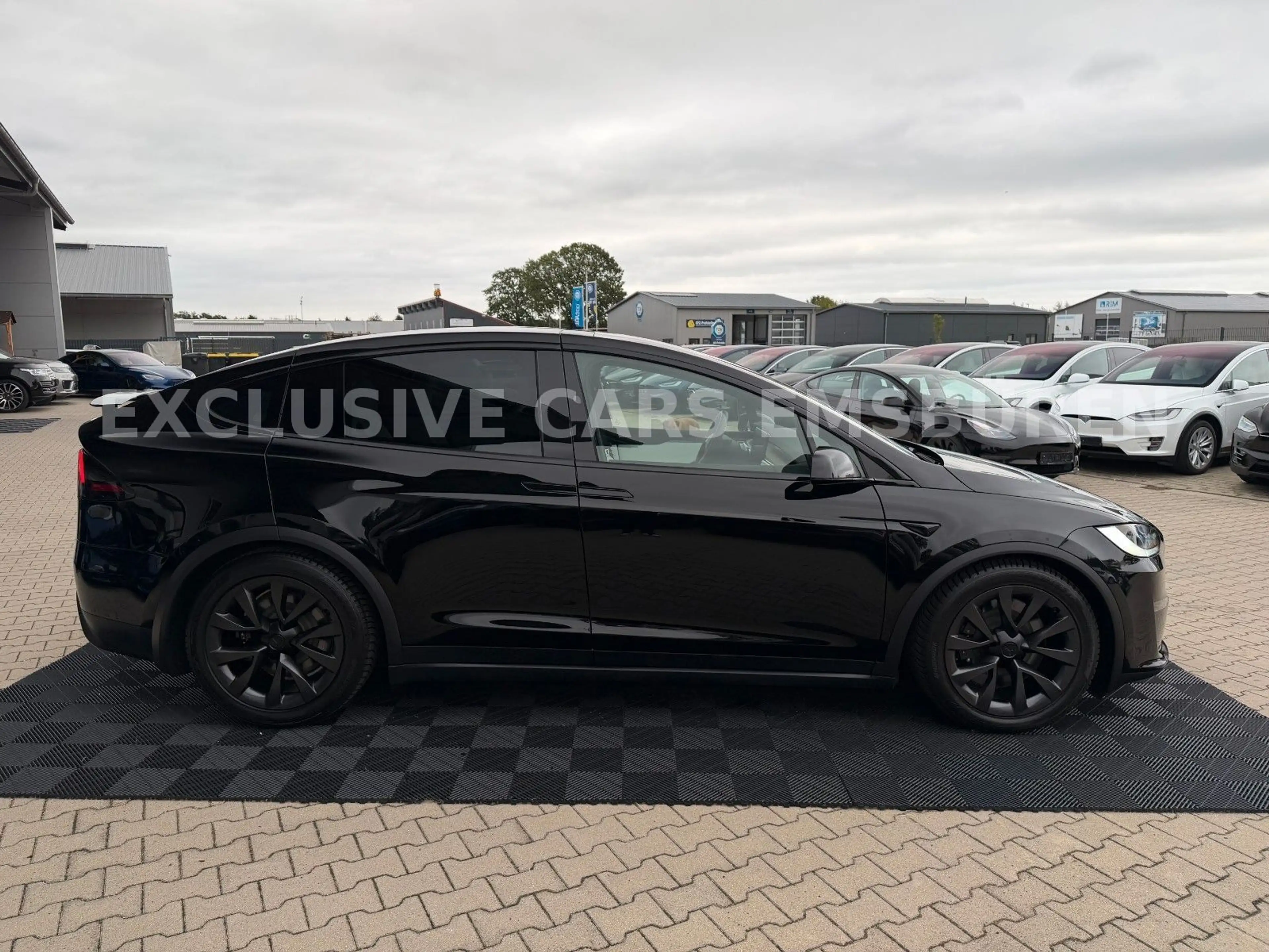Tesla Model X MODEL X PALLADIUM | WHITE SEAT | MATRIX | AP 4 | — photo 8