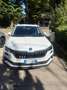 Skoda Karoq Karoq 1.5 TSI ACT Executive Weiß - thumbnail 1