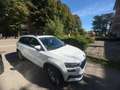 Skoda Karoq Karoq 1.5 TSI ACT Executive Weiß - thumbnail 5