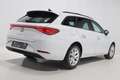 SEAT Leon SW 1.0 eTSI 110 DSG STYLE TOIT PANO LED ACC JA16 Weiß - thumbnail 3