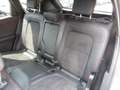 Ford Kuga PlugInHybrid ST-Line X ,Sitz/Lenkradheizung Gris - thumbnail 15