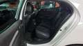 Renault Megane 1.5dCi Energy Business 81kW Blanco - thumbnail 33