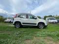 Fiat Panda 4x4 ELD Euro 6 * Blocco Differenziale * Bianco - thumbnail 6