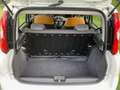 Fiat Panda 4x4 ELD Euro 6 * Blocco Differenziale * Bianco - thumbnail 12