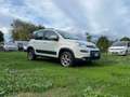 Fiat Panda 4x4 ELD Euro 6 * Blocco Differenziale * Bianco - thumbnail 3