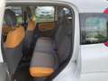 Fiat Panda 4x4 ELD Euro 6 * Blocco Differenziale * Bianco - thumbnail 11