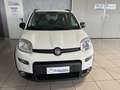 Fiat Panda 1.0 firefly hybrid City Life 5posti (Neopat) Bianco - thumbnail 3