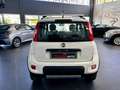 Fiat Panda 1.3 MJT 95 CV S&S 4x4 Alb - thumbnail 6