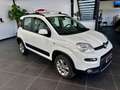 Fiat Panda 1.3 MJT 95 CV S&S 4x4 Alb - thumbnail 3
