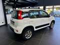Fiat Panda 1.3 MJT 95 CV S&S 4x4 Alb - thumbnail 5