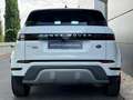 Land Rover Range Rover Evoque 2.0D MHEV S AWD Aut. 150 Blanco - thumbnail 7
