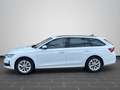Skoda Octavia Combi 2.0 TDI DSG LED NAVI ACC RFK SHZ Weiß - thumbnail 7