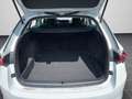 Skoda Octavia Combi 2.0 TDI DSG LED NAVI ACC RFK SHZ Weiß - thumbnail 15