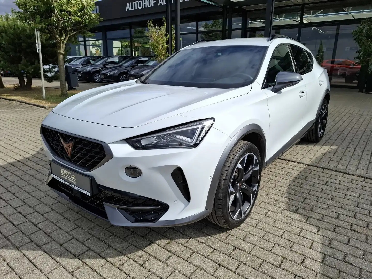 CUPRA Formentor 2.0 TDI 4Drive (150 PS) 7-Gang-DSG Weiß - 1